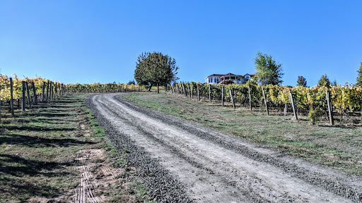 Winery «Apolloni Vineyards», reviews and photos, 14135 NW Timmerman Rd, Forest Grove, OR 97116, USA