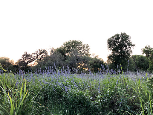 Park «McAllister Park», reviews and photos, 13102 Jones Maltsberger Rd, San Antonio, TX 78247, USA