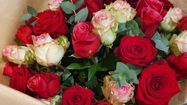 Rezensionen über Daphné Fleurs in Lausanne - Blumengeschäft