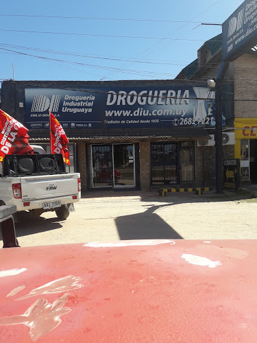 Droguería Industrial Uruguaya Suc Lagomar - Tienda