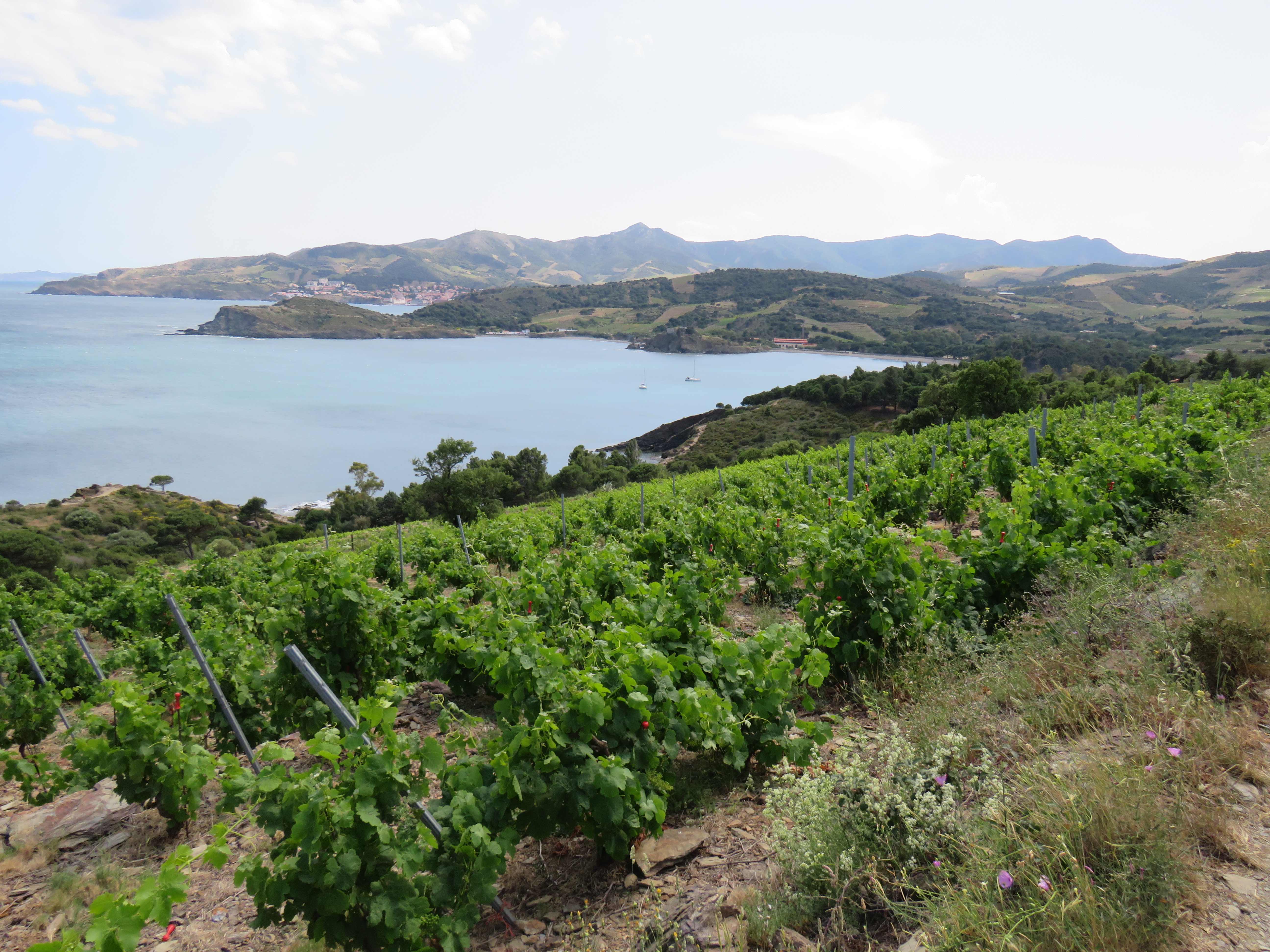 Photo n° 2 de l'avis de romuald.a fait le 10/06/2019 à 16:01