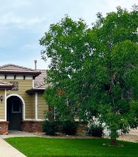 Flemings Tree Care & Landscaping - Photo 6 - Car repair in Castle Rock, CO, Highlands Ranch