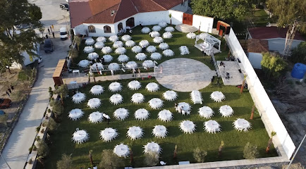 Monsera Düğün & Davet