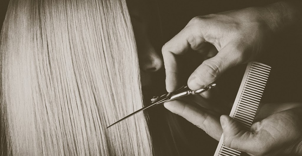 Hair We Are 15668