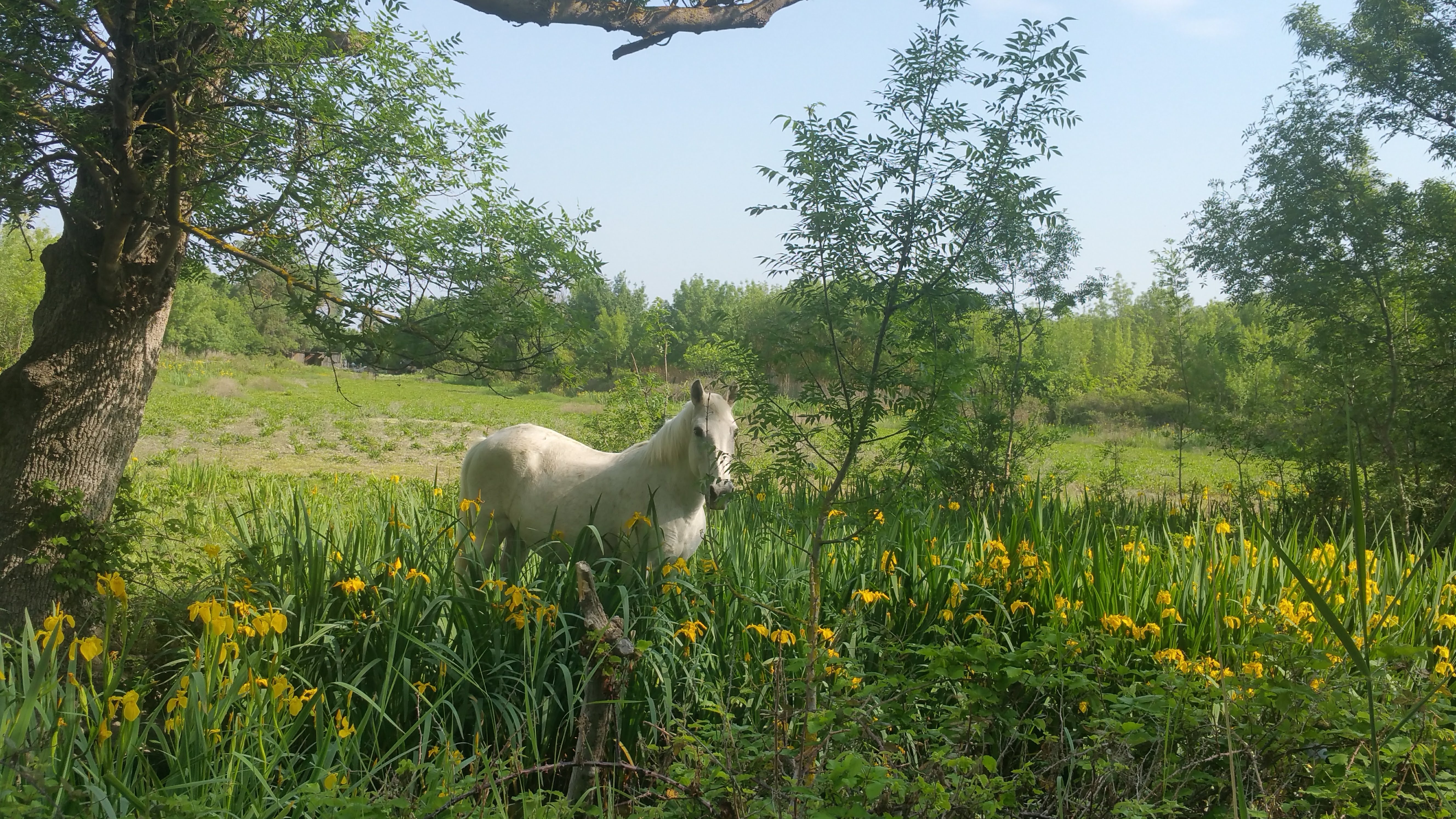 Photo n° 1 de l'avis de Stellina.i fait le 07/05/2018 à 09:10