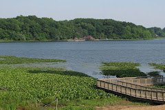 Sippo Lake Park-East