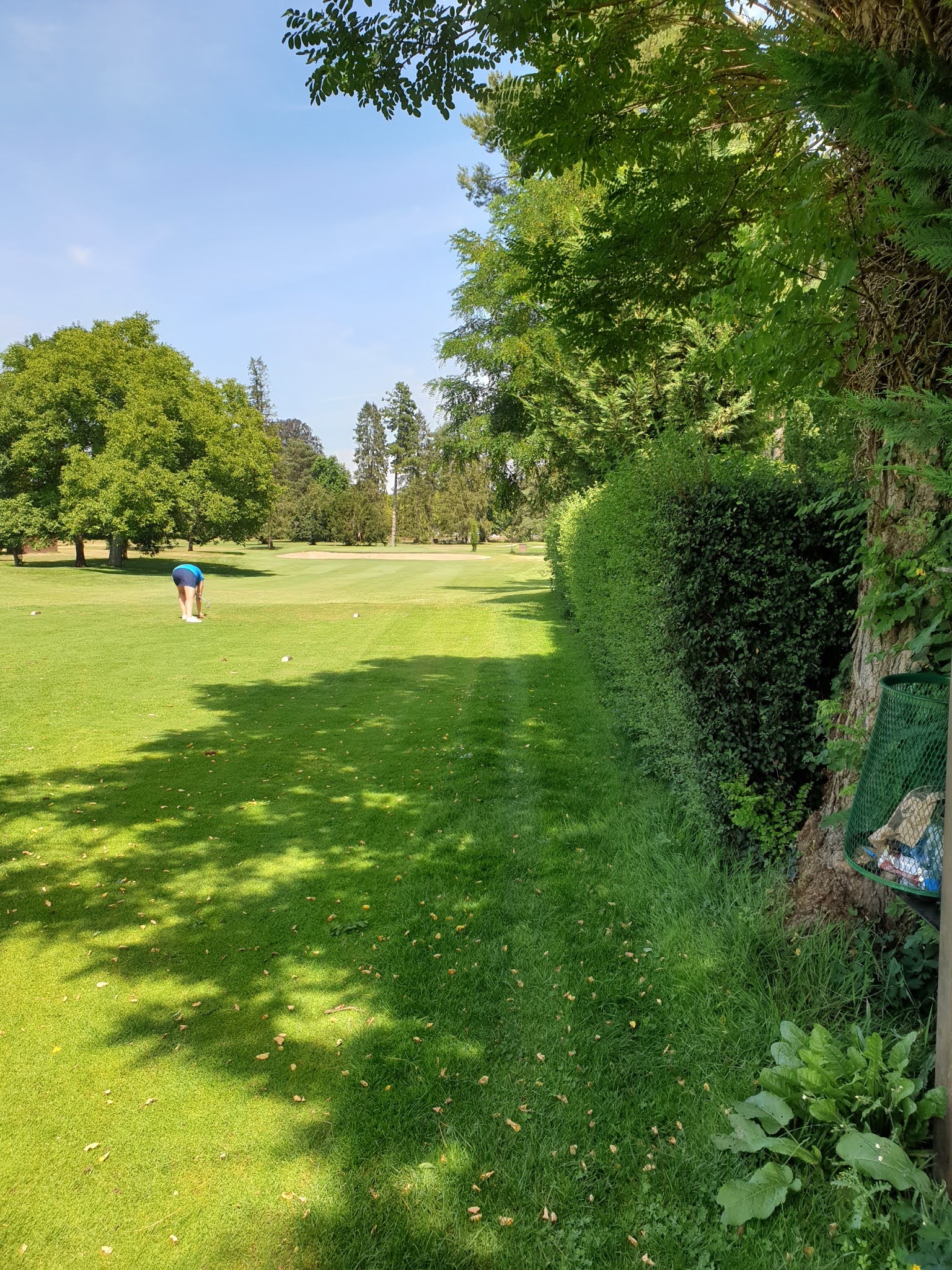 Photo n° 12 de l'avis de Philippe.o fait le 20/08/2020 à 16:24