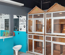 Terry & Teddy Grooming and Outfitters photo