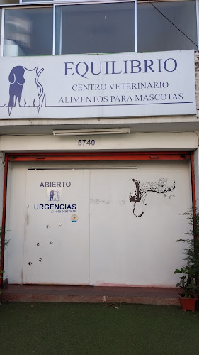Opiniones de Centro Veterinario "Equilibrio" en Peñalolén - Veterinario