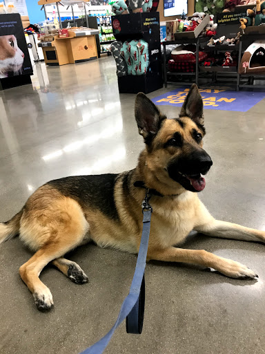 Pet Supply Store «Petco Animal Supplies», reviews and photos, 3194 FM407, Highland Village, TX 75077, USA