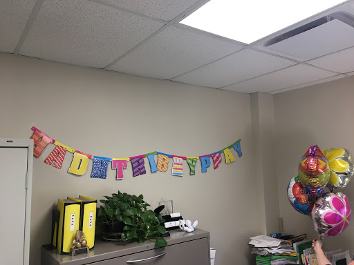 Dollar Store «Dollar Tree», reviews and photos, 8491 Grand River Ave, Brighton, MI 48116, USA