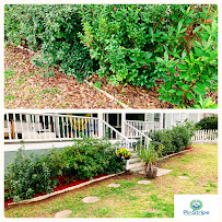 PinStripe Landscaping & Pro Svcs - Photo 5 - Car repair in , Atlanta