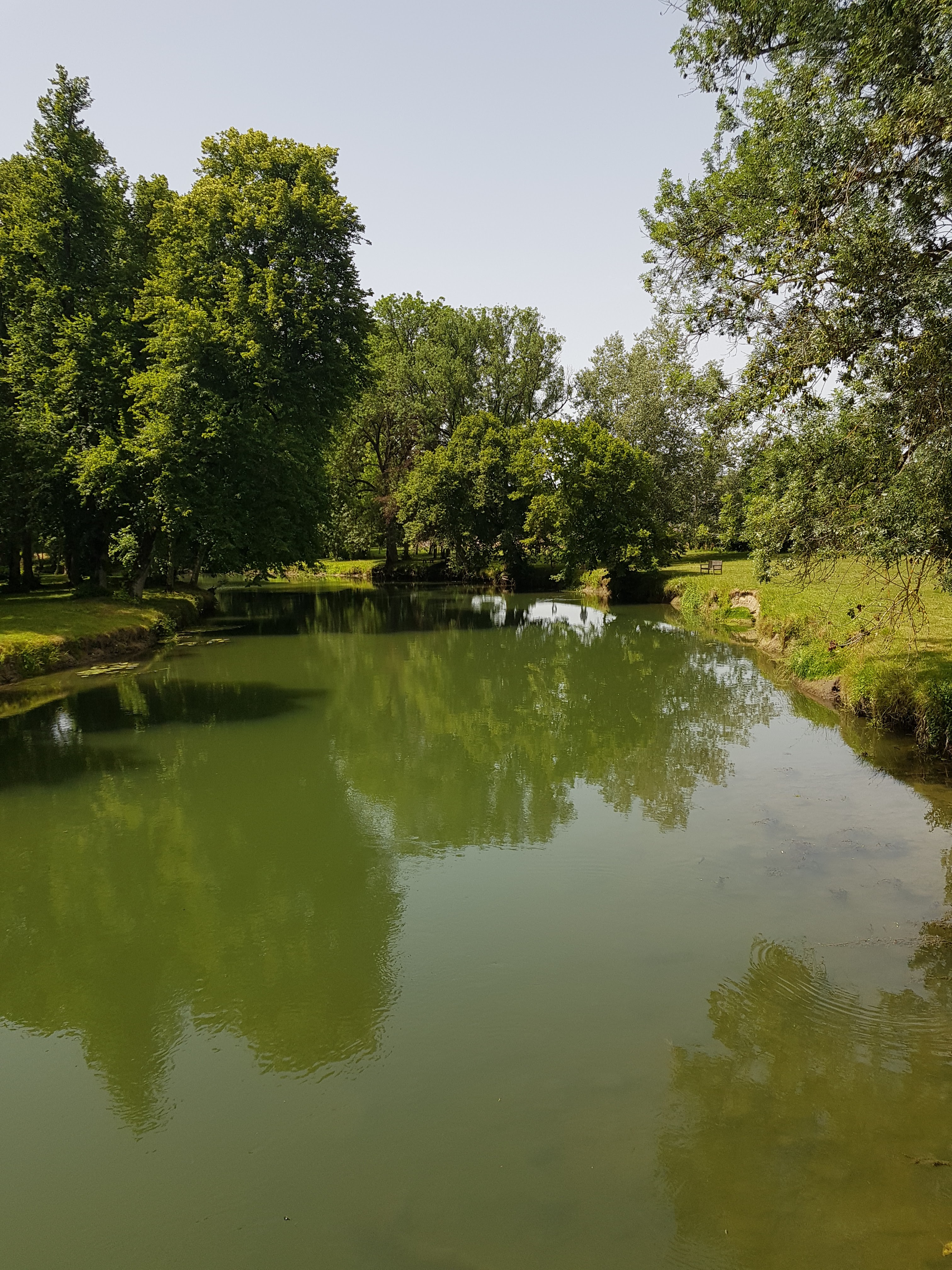 Photo n° 5 de l'avis de Amine.i fait le 16/06/2022 à 16:44