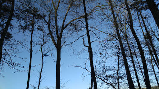 Nature Preserve «Autrey Mill Nature Preserve & Heritage Center», reviews and photos, 9770 Autrey Mill Rd, Johns Creek, GA 30022, USA