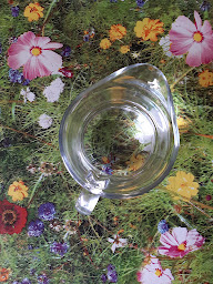 Photo n°30 de La Buvette du Lac Birotos à Pradelles-Cabardès ()