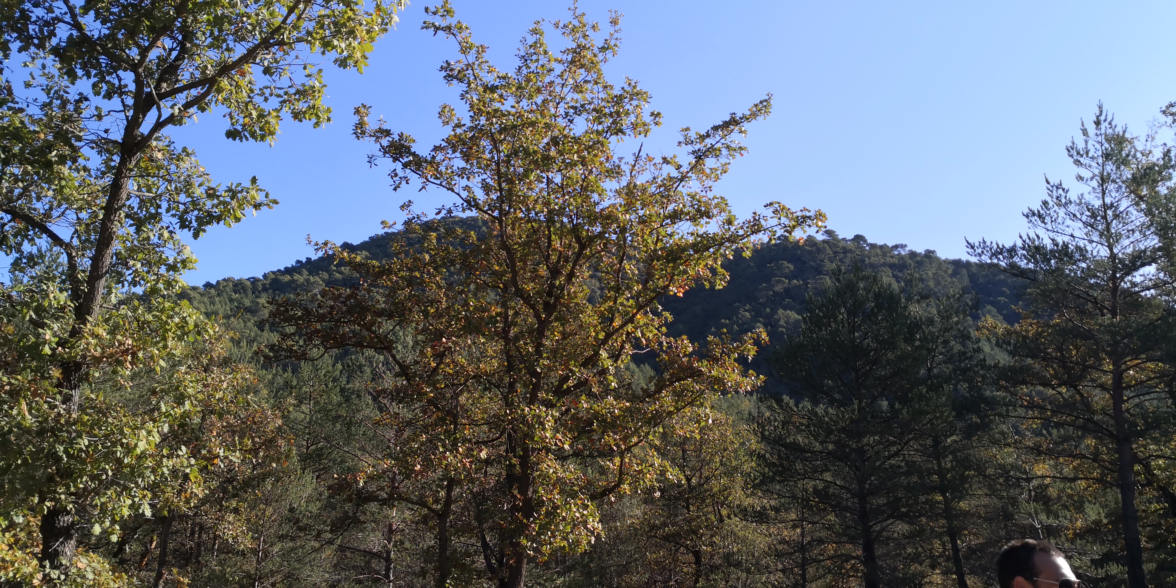 Photo n° 5 de l'avis de Camilero.e fait le 10/11/2019 à 06:37