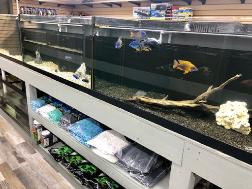 Pet Store «Strictly Fish», reviews and photos, 8373 SW 40th St, Miami, FL 33155, USA