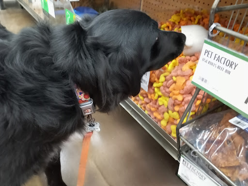 Pet Supply Store «Pet Supplies Plus», reviews and photos, 1676 E Summit St, Crown Point, IN 46307, USA