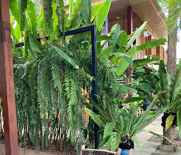 Sabainang Cafe @ Bukit Cuppa photo