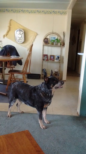 Home Improvement Store «The Home Depot», reviews and photos, 5500 AZ-69, Prescott Valley, AZ 86314, USA