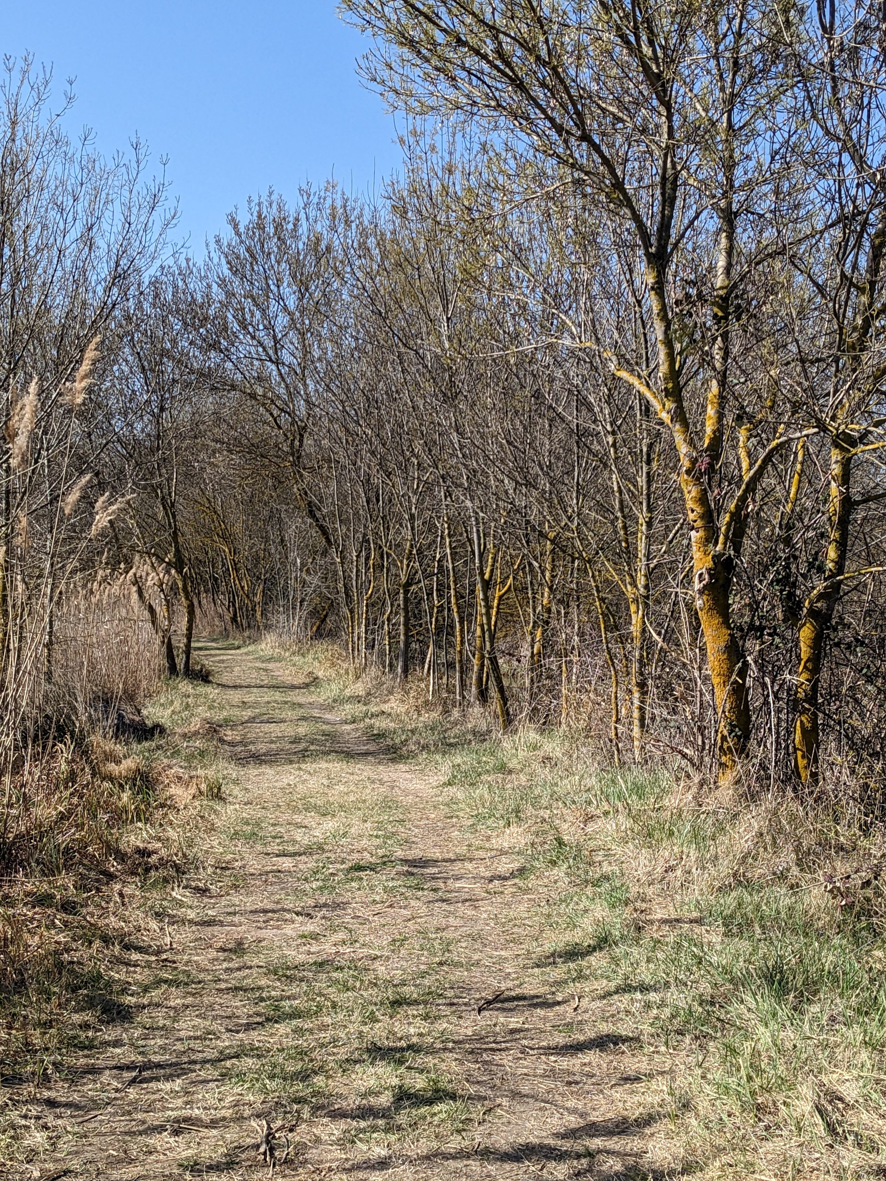 Photo n° 2 de l'avis de Yoann. fait le 13/03/2023 à 16:27