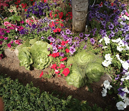 Hacienda de San Ángel Restaurante photo