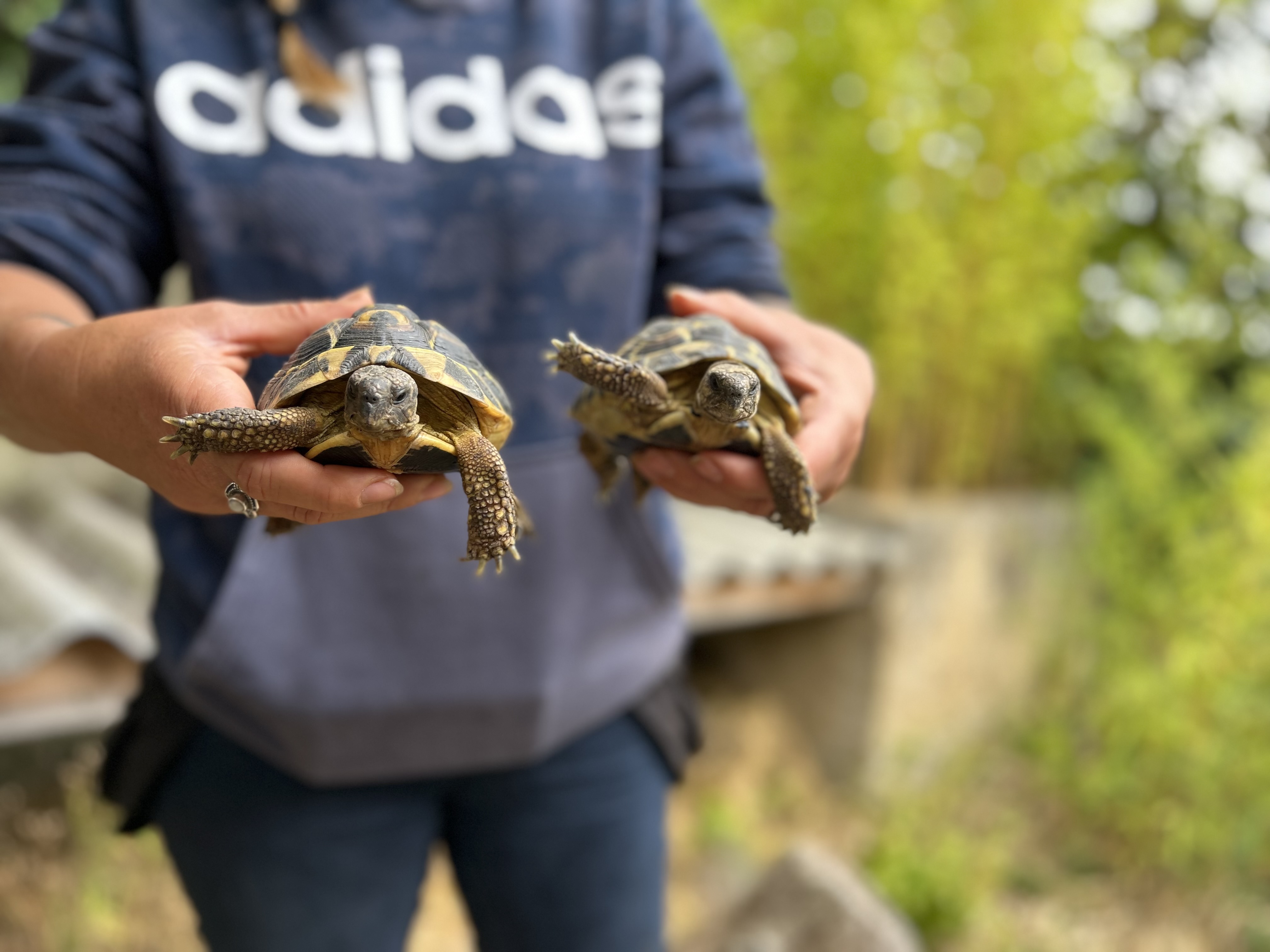 Photo n° 13 de l'avis de chloe.e fait le 26/07/2023 à 15:32