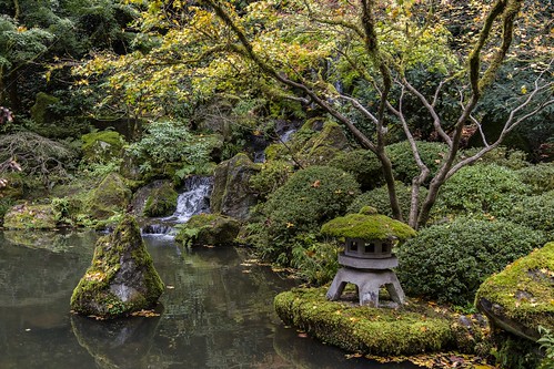 Garden «Portland Japanese Garden», reviews and photos, 611 SW Kingston Ave, Portland, OR 97205, USA