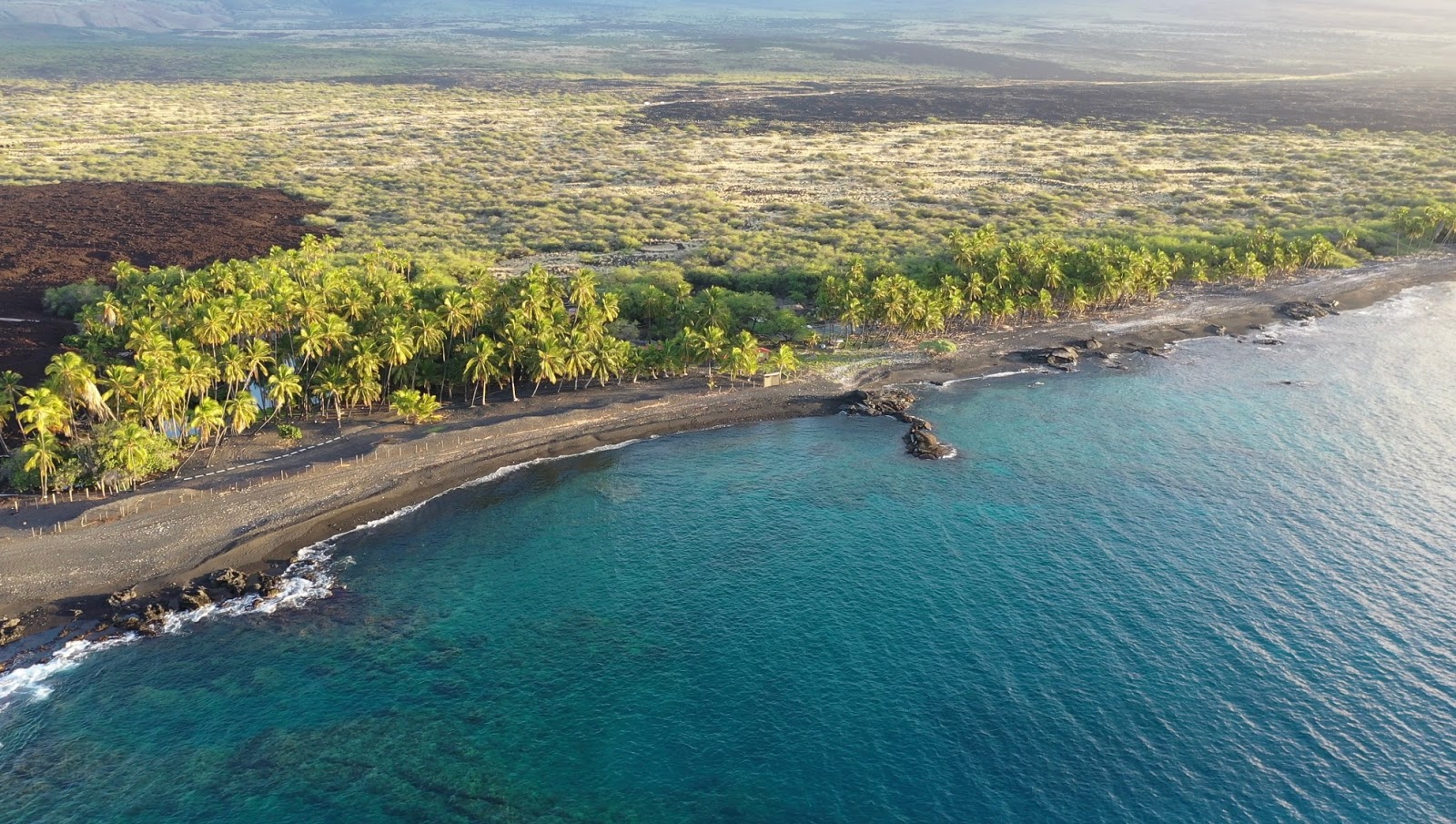 Zdjęcie Lone Palm beach z poziomem czystości wysoki