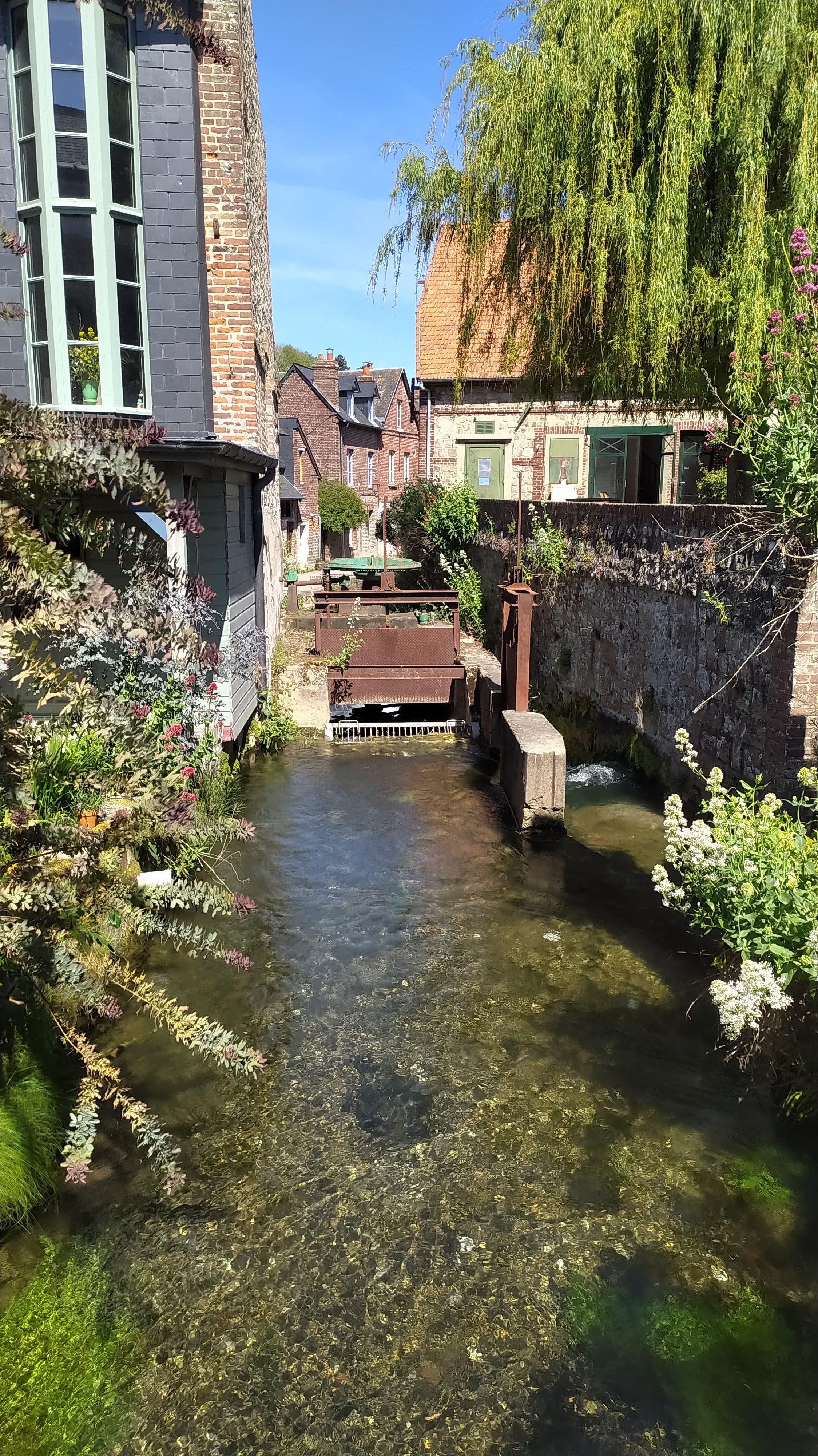 Photo n° 16 de l'avis de Annette. fait le 13/05/2022 à 16:54