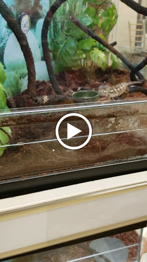 Pet Supply Store «Petco Animal Supplies», reviews and photos, 13 Welles St, Glastonbury, CT 06033, USA