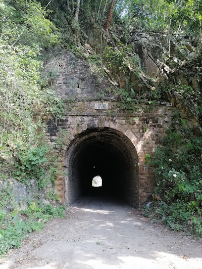 Túnel 1 del antiguo ferrocarril El Mexicano