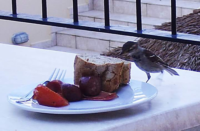 Opinii despre Oasis Hotel în Αθήνα - Ξενοδοχείο