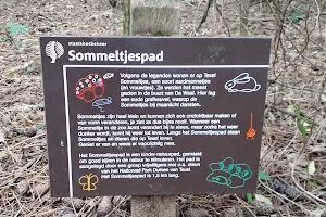 Sommeltjespad image