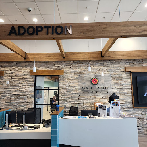 Garland Animal Shelter & Adoption Center in Garland, Texas Zaubee
