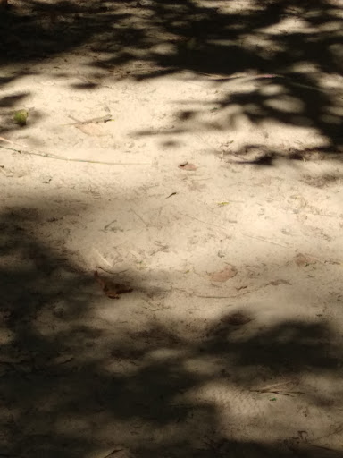 Gift Shop «Dinosaur Valley State Park Store», reviews and photos, 1629 Park Rd 59, Glen Rose, TX 76043, USA