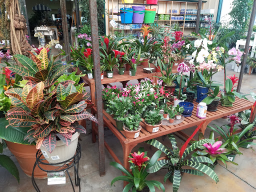 Garden Center «Sloat Garden Center», reviews and photos, 1555 Kirker Pass Rd, Concord, CA 94521, USA