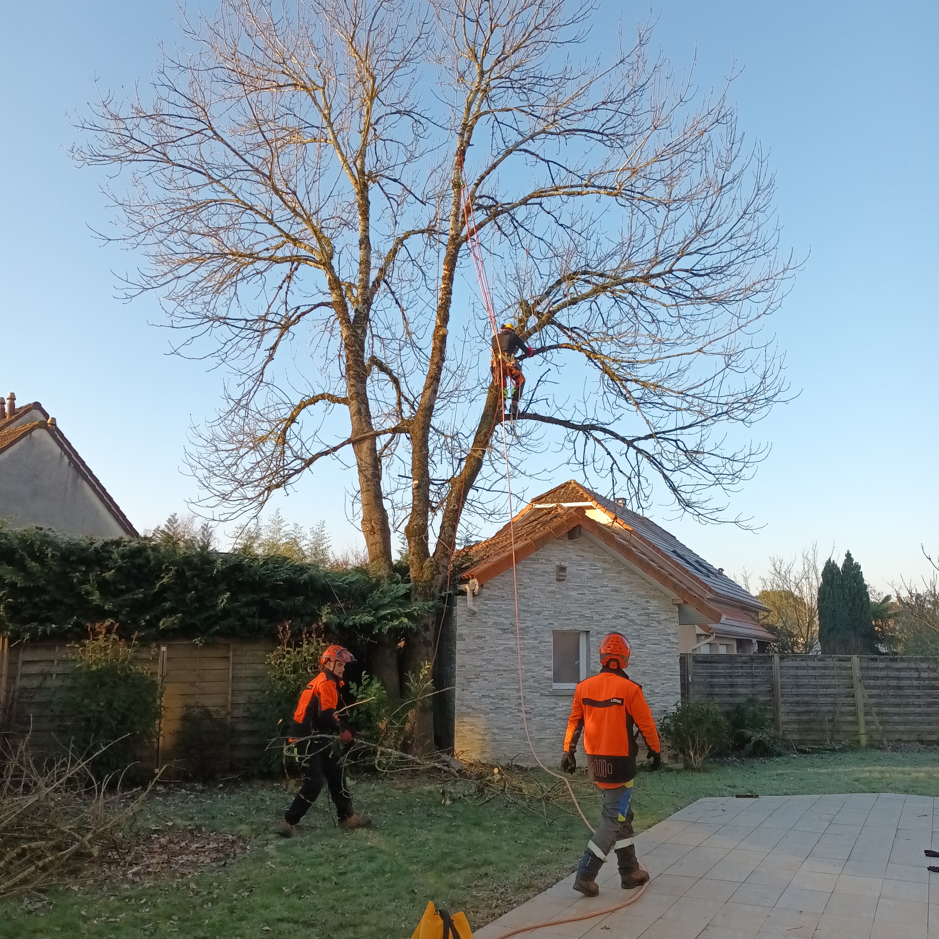 Photo n° 3 de l'avis de Pierre.O fait le 13/02/2023 à 10:45