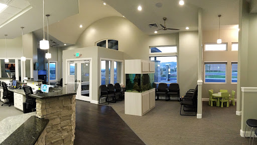 Orthodontist «South Hills Orthodontics», reviews and photos