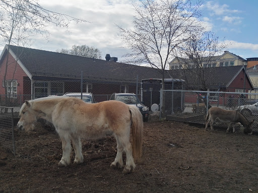 Children's Organic Animal Farm (Kampen Barnebondegård)