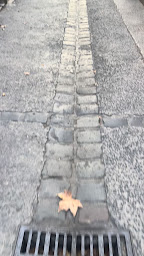 Photo n°99 de Le Petit Jardin Montpellier à Montpellier ()