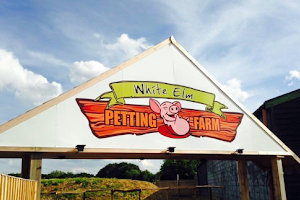 White Elm Petting Farm image