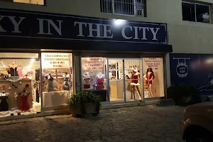 Sexy in the City image