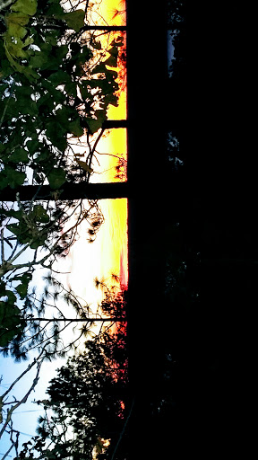 National Forest «Tuskegee National Forest», reviews and photos, 125 National Forest Rd 949, Tuskegee, AL 36083, USA