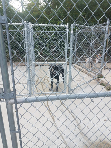 Pet Supply Store «PetSmart», reviews and photos, 7340 W 191st St, Tinley Park, IL 60487, USA