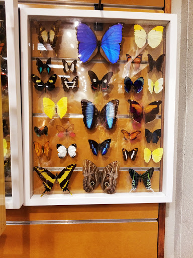 Shopping Mall «St. Clair Square», reviews and photos, 134 St Clair Square, Fairview Heights, IL 62208, USA