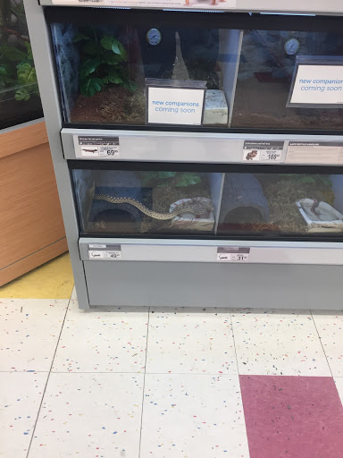 Pet Supply Store «Petco Animal Supplies», reviews and photos, 300 Hylan Dr, Rochester, NY 14623, USA