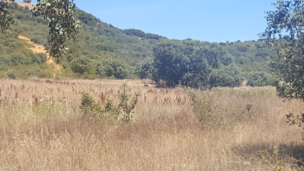 UñA DE QUINTANA