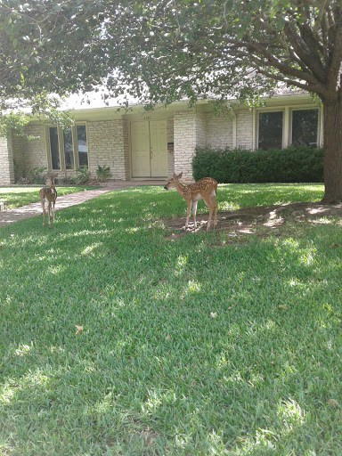 Nature Preserve «Stillhouse Hollow Nature Preserve», reviews and photos, 7810 Sterling Dr, Austin, TX 78759, USA