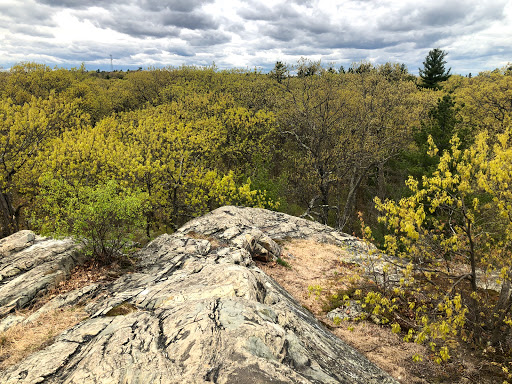 Pinnacle Rock